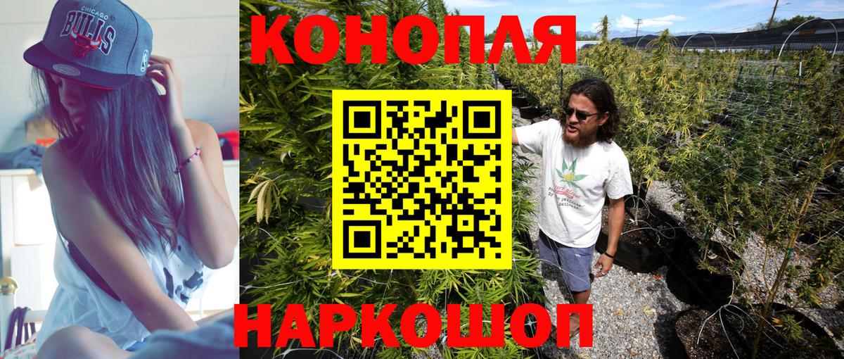 Канабис конопля Зеленогорск